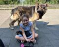 Een meisje zit op een betegeld pad met een kleine zwarte hond op schoot; achter haar staat een grote, langharige zwartbruine hond.